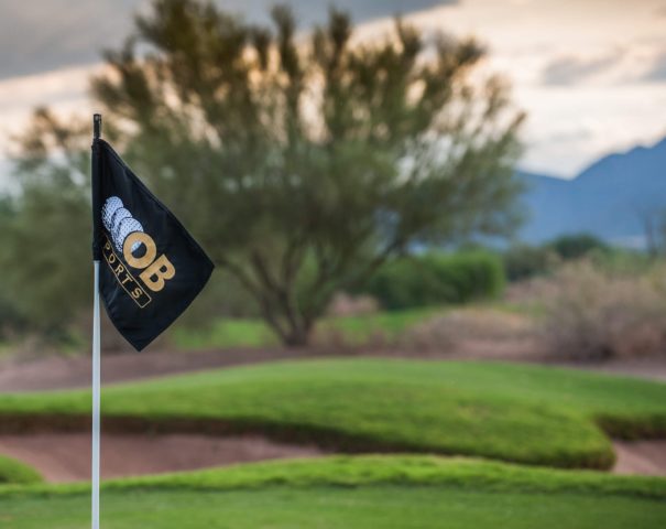 OB Flag in front of a tree